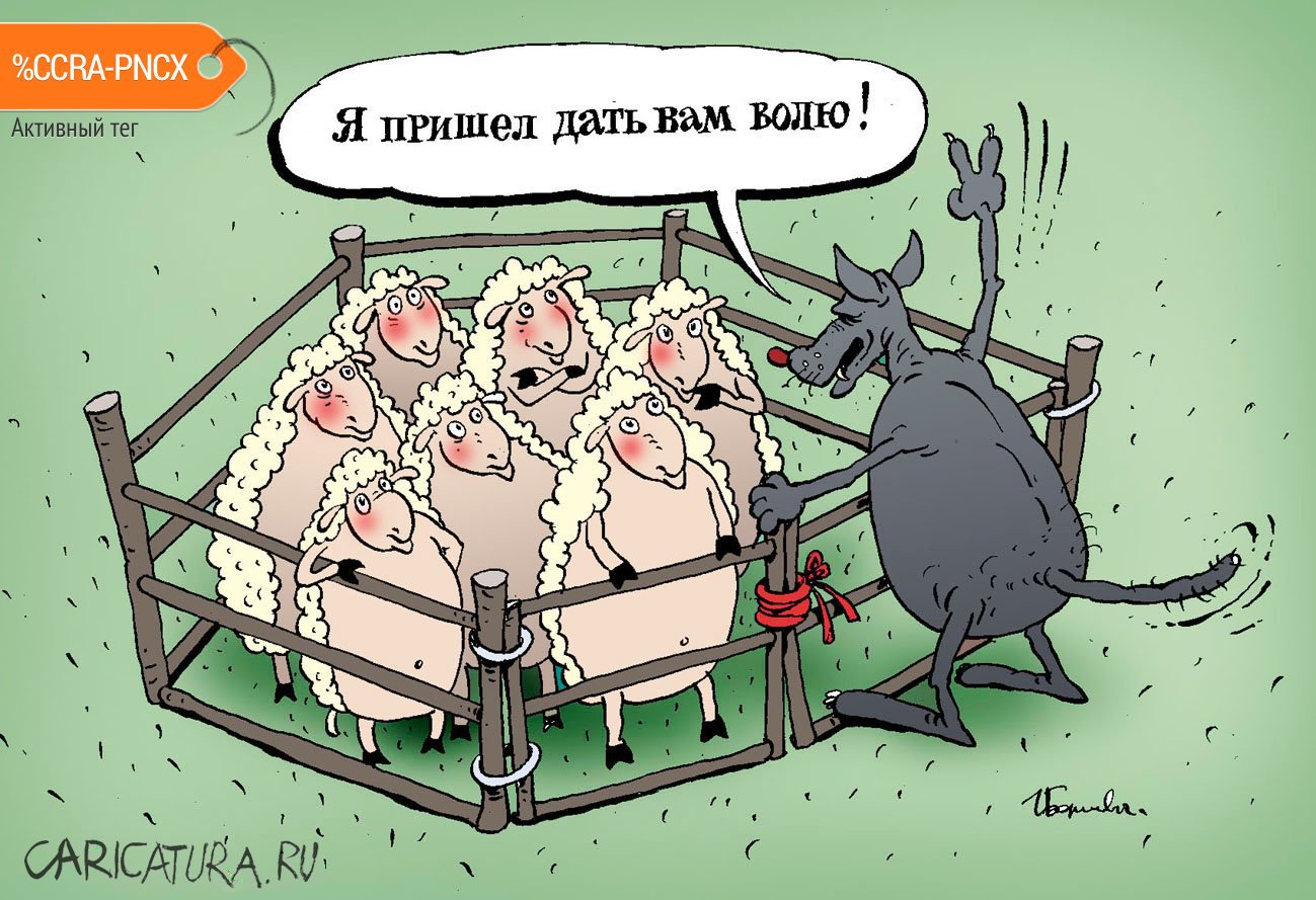 Почему даешь свободу. Баран карикатура. Овца карикатура. Карикатура на Баранов. Карикатуры смешные.